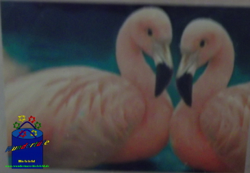 Kreativ-Set Diamond Painting 25x35cm Flamingos