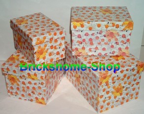 Geschenkbox - Gänseblümchen - Gr. 4
