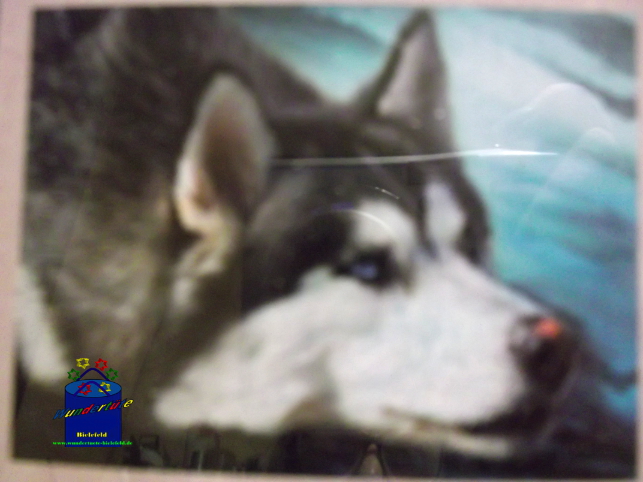 Kreativ-Set Diamond Painting 25x35cm Husky