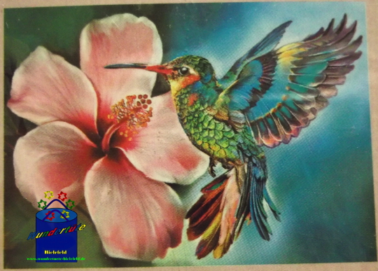 Kreativ-Set Diamond Painting 25x35cm Kolibri