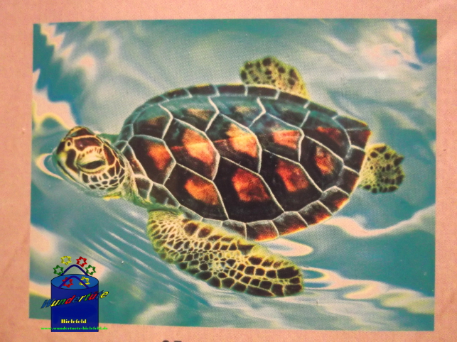 Kreativ-Set Diamond Painting 25x35cm Wasserschildkröte 