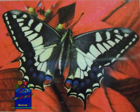 Kreativ-Set Diamond Painting 25x35cm Schmetterling 2