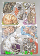 Glanzbilder - Oblaten - Scraps - Katzen